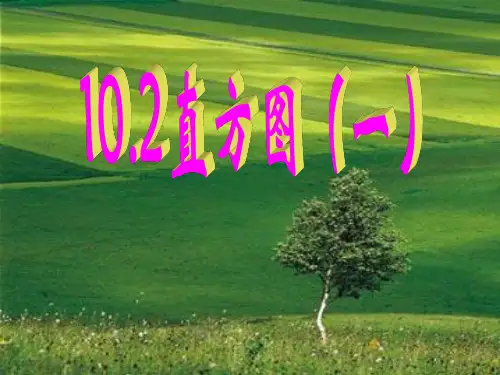 10.2直方图 精美课件(人教版七年级下)20张ppt