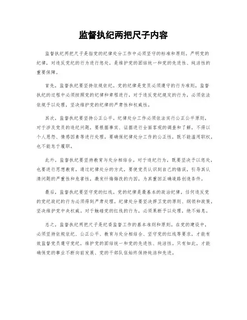 监督执纪两把尺子内容