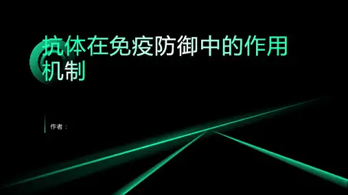 免疫系统中的抗体：抗体在免疫防御中的作用机制