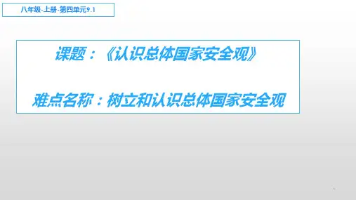人教版八年级道德与法治上册9.1：认识总体国家安全观 ppt课件