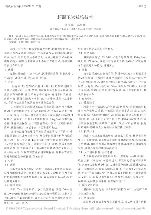 超甜玉米栽培技术