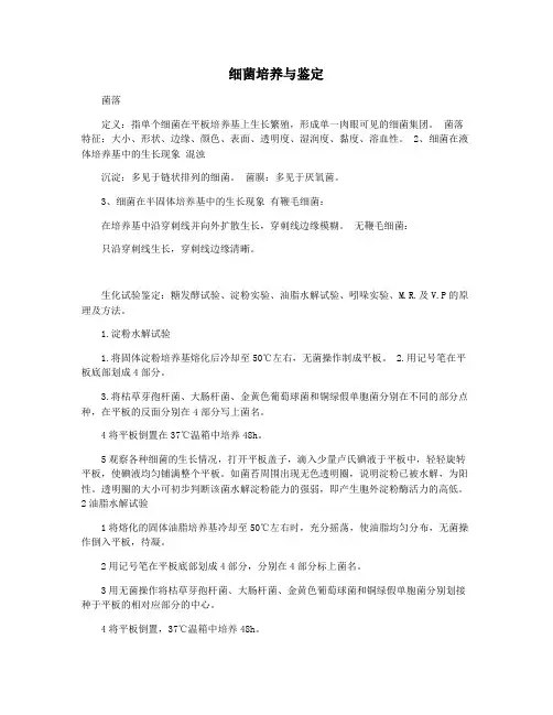 细菌培养与鉴定