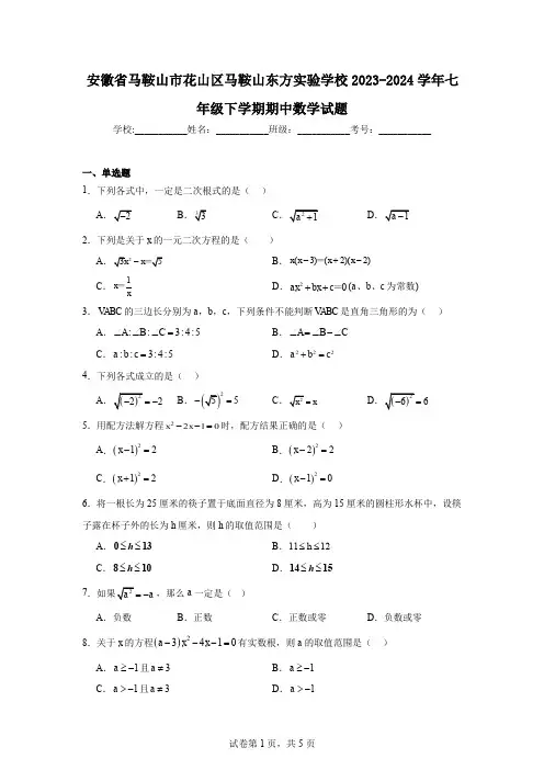 安徽省马鞍山市花山区马鞍山东方实验学校2023-2024学年七年级下学期期中数学试题