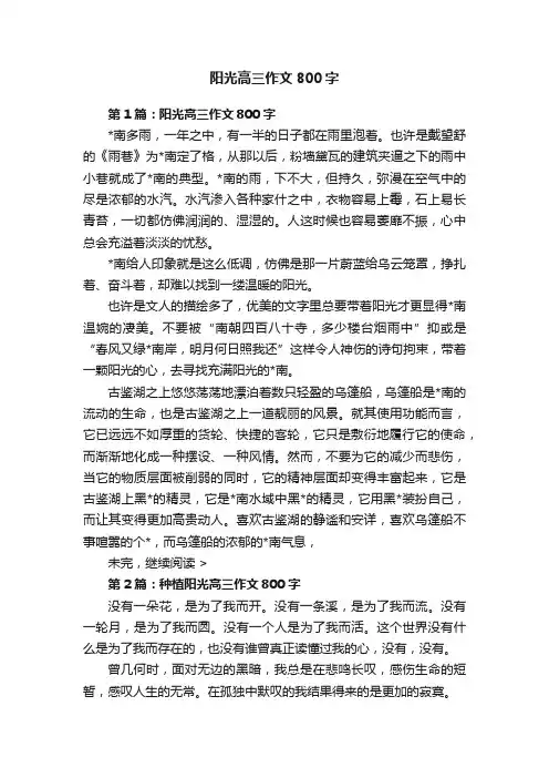阳光高三作文800字