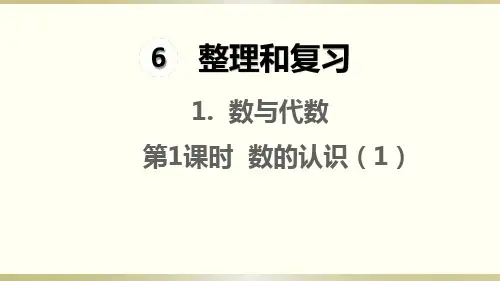 新人教版六年级下册数学第六单元数与代数 第1课时 数的认识(1)