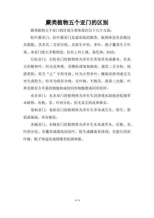 蕨类植物五个亚门的区别