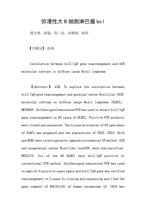 弥漫性大B细胞淋巴瘤bcl