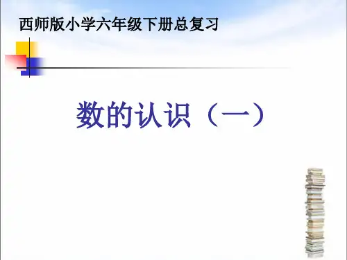 西师大版2019-2020学年六年级数学下册总复习 数的认识(一)课件