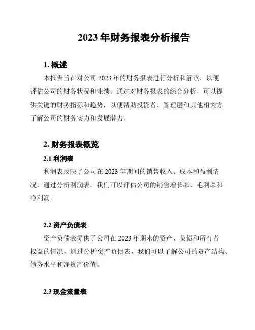 2023年财务报表分析报告