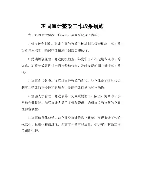 巩固审计整改工作成果措施