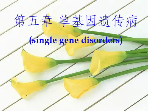 《单基因遗传病》PPT课件