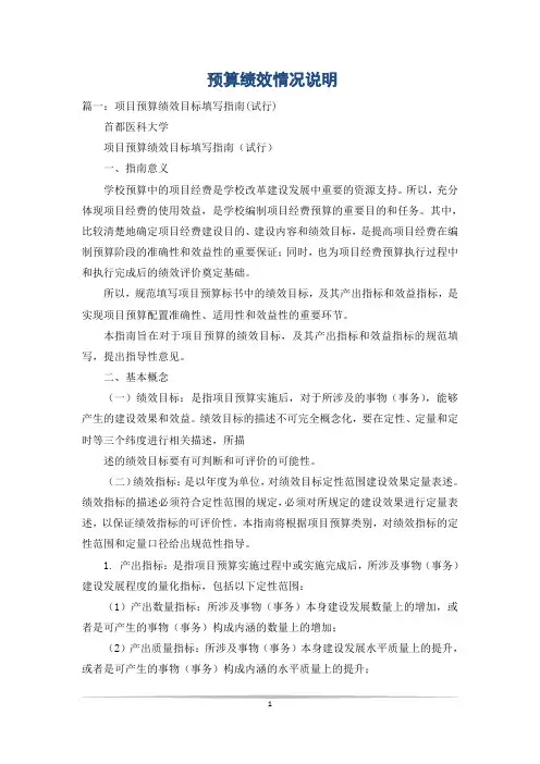 预算绩效情况说明