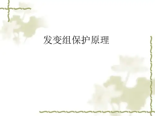 发变组保护原理讲课资料