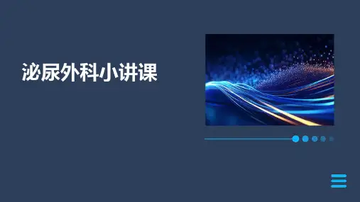 《泌尿外科小讲课》课件