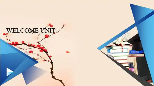 WE LCOME UNIT Sectiom Ⅰ 【新教材】人教版(2019)必修第一册同步课件 (共88张PPT)