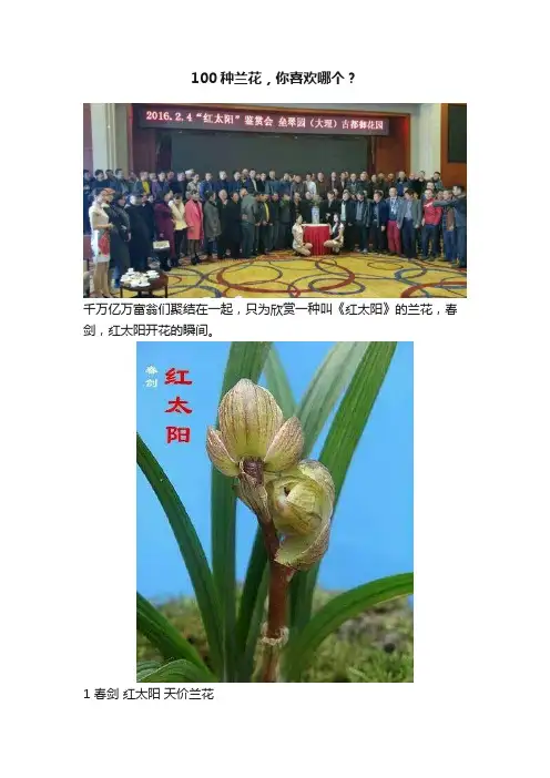 100种兰花，你喜欢哪个？