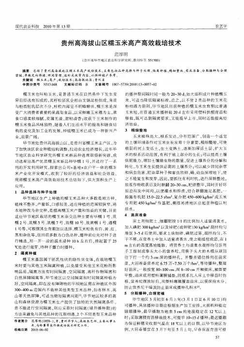 贵州高海拔山区糯玉米高产高效栽培技术