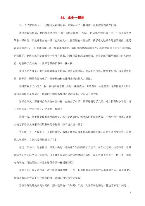 中考语文 阅读理解训练54 成全一棵树