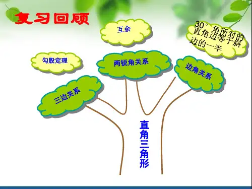 锐角三角函数正切优质课一等奖课件