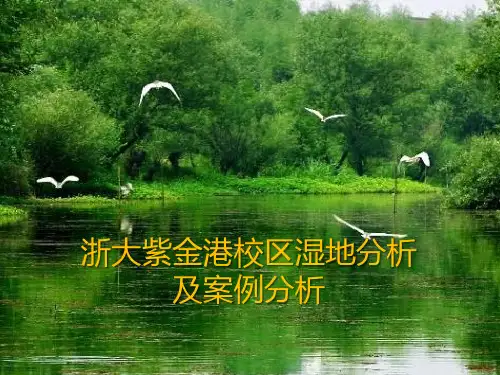 浙大紫金港校区湿地