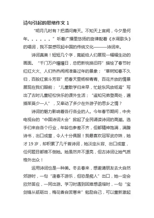 诗句引起的思绪作文