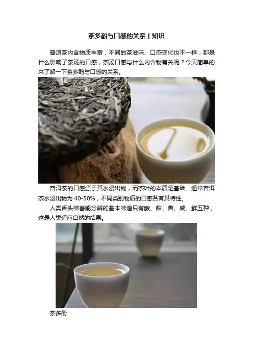茶多酚与口感的关系丨知识