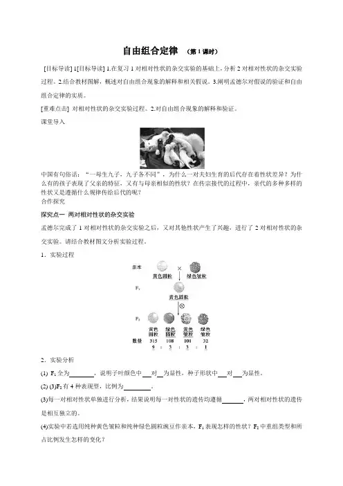 导学案2：自由组合定律