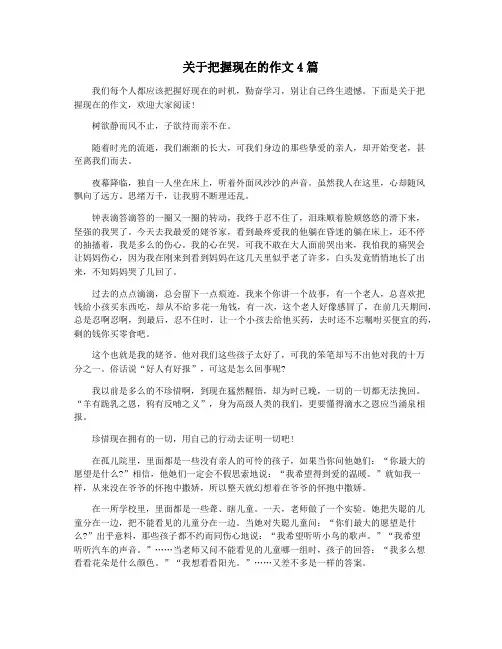 关于把握现在的作文4篇