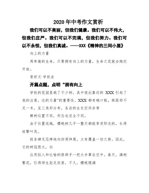 2020年中考作文赏析