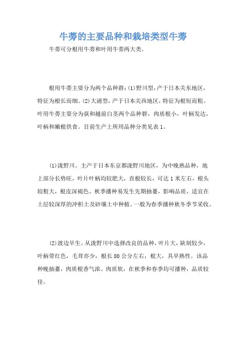 牛蒡的主要品种和栽培类型牛蒡