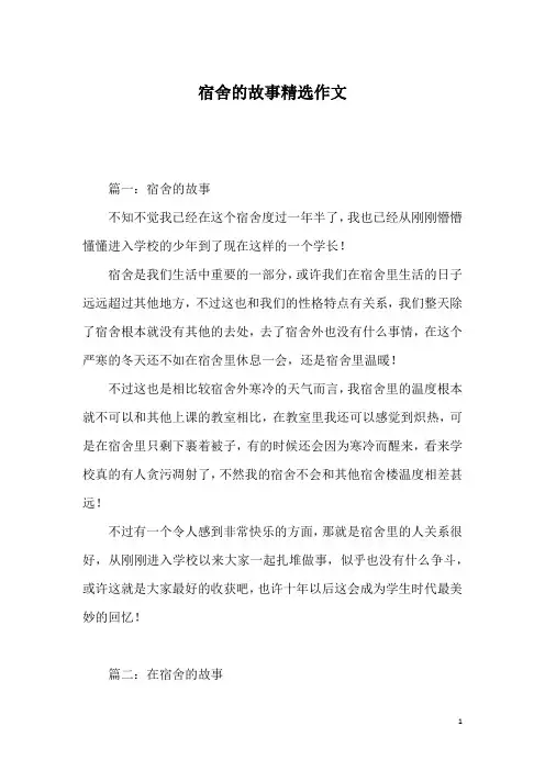 宿舍的故事精选作文