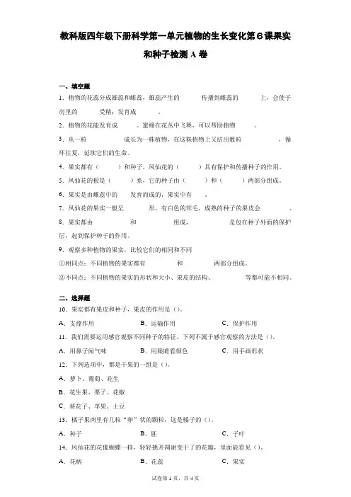 教科版小学科学四年级下册1-6果实和种子课课练习题(同步练习)