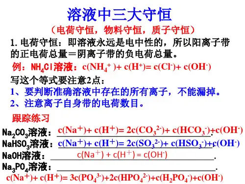 专题--溶液中三大守恒