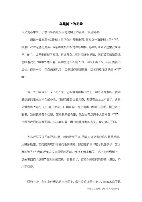 小学六年级散文：鸟是树上的花朵