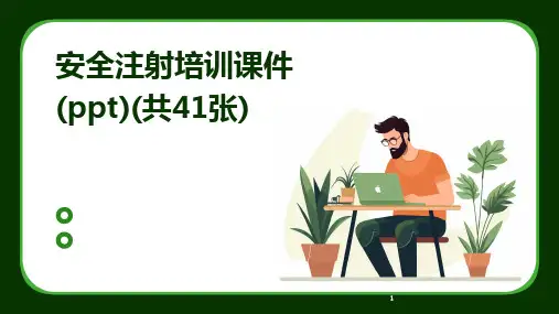 2024年度-安全注射培训课件(ppt)(共41张)(1)