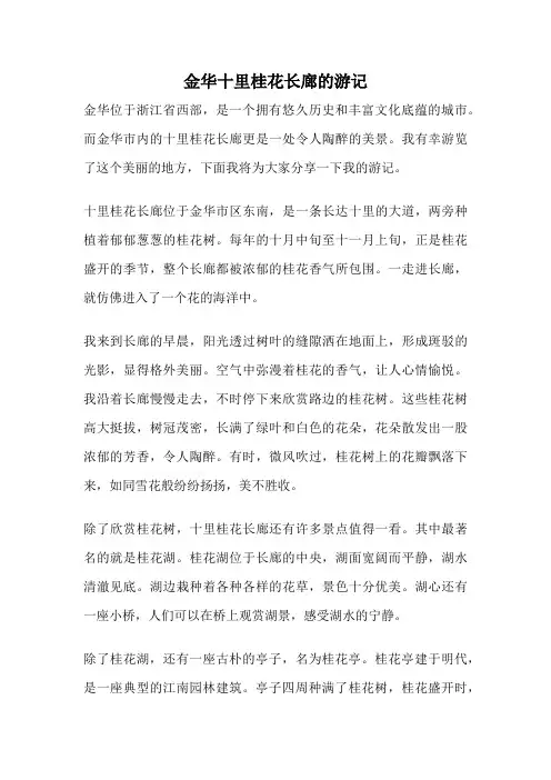 金华十里桂花长廊的游记