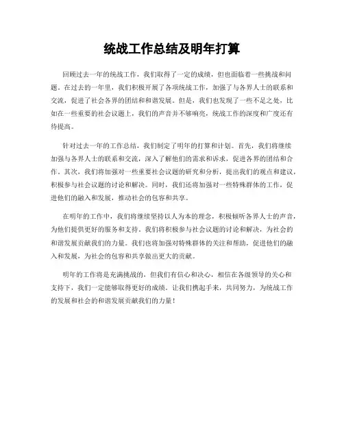 统战工作总结及明年打算