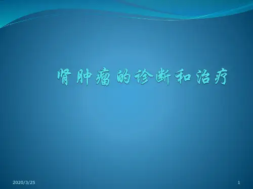 肾肿瘤课件(课堂PPT)