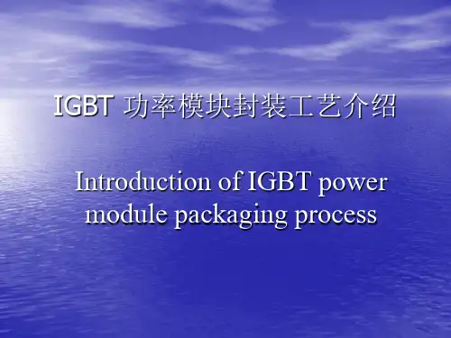 IGBT_功率模块工艺介绍