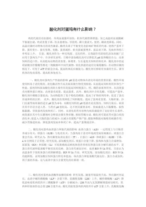 酸化剂对蛋鸡有什么影响