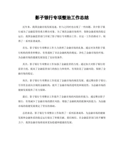 影子银行专项整治工作总结