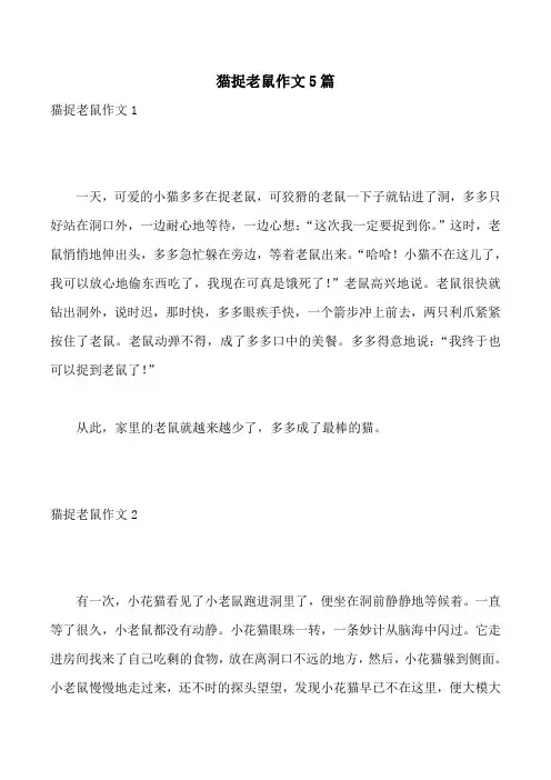 猫捉老鼠作文5篇