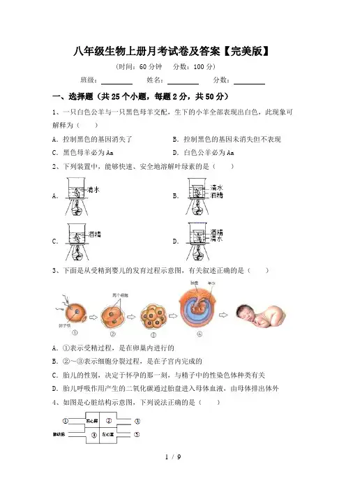 八年级生物上册月考试卷及答案【完美版】