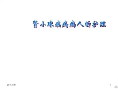 肾小球病人的护理 ppt课件