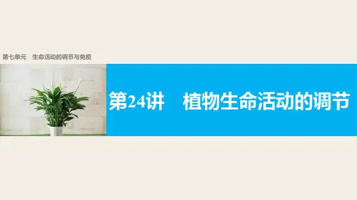【新步步高】2018年版浙江高考生物《选考总复习》课件第7单元第24讲植物生命活动的调节