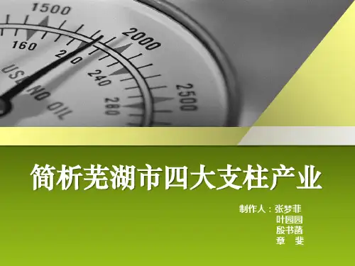 芜湖市支柱产业分析