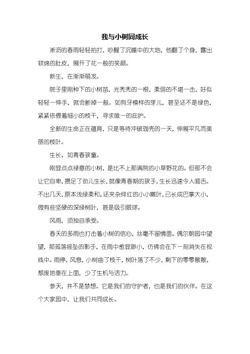 初二作文：我与小树同成长作文450字