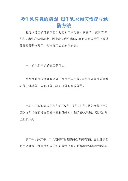 奶牛乳房炎的病因 奶牛乳炎如何治疗与预防方法
