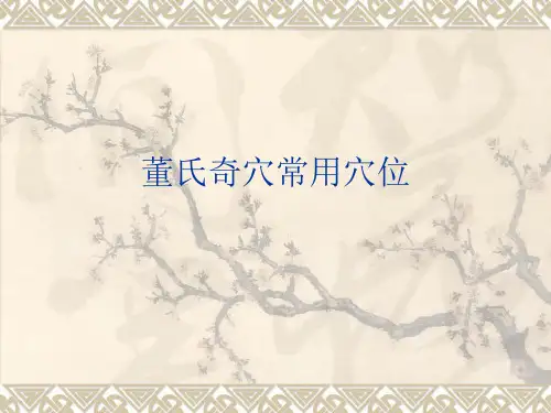 董氏奇穴常见穴位