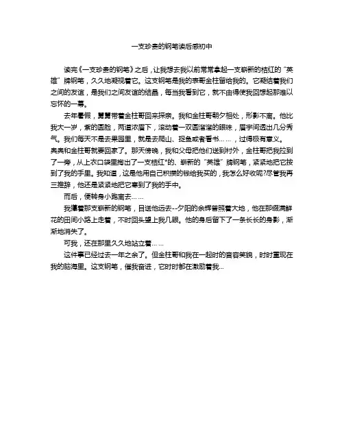 一支珍贵的钢笔读后感初中